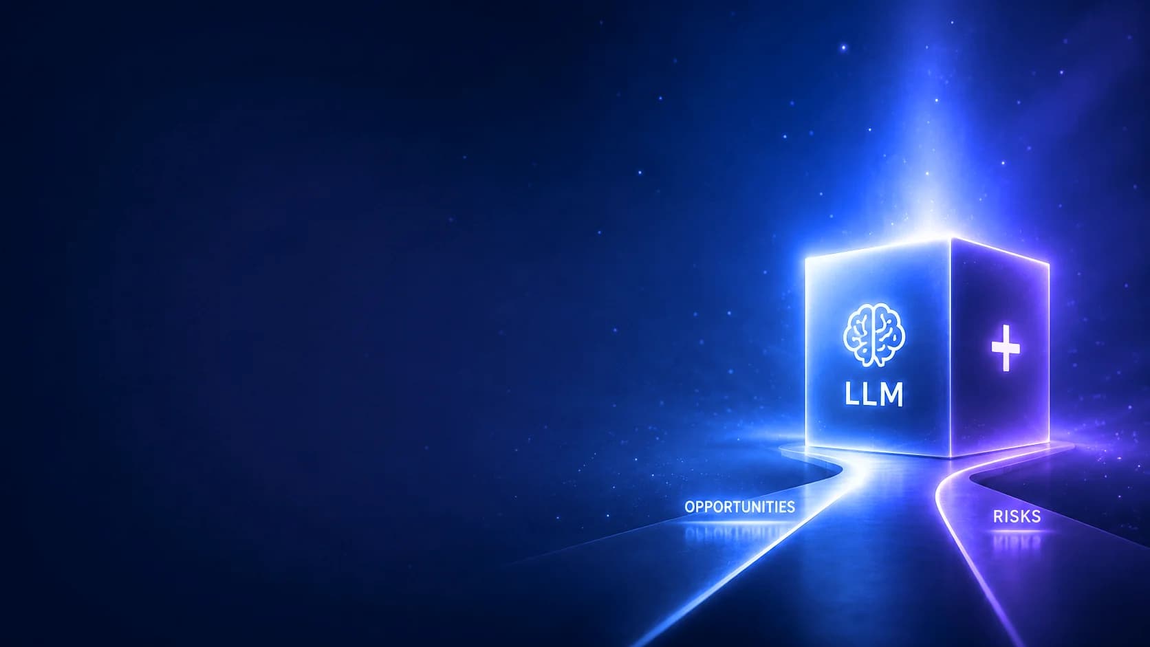 LLM in Healthcare: Risks & Opportunities for Decision-Makers