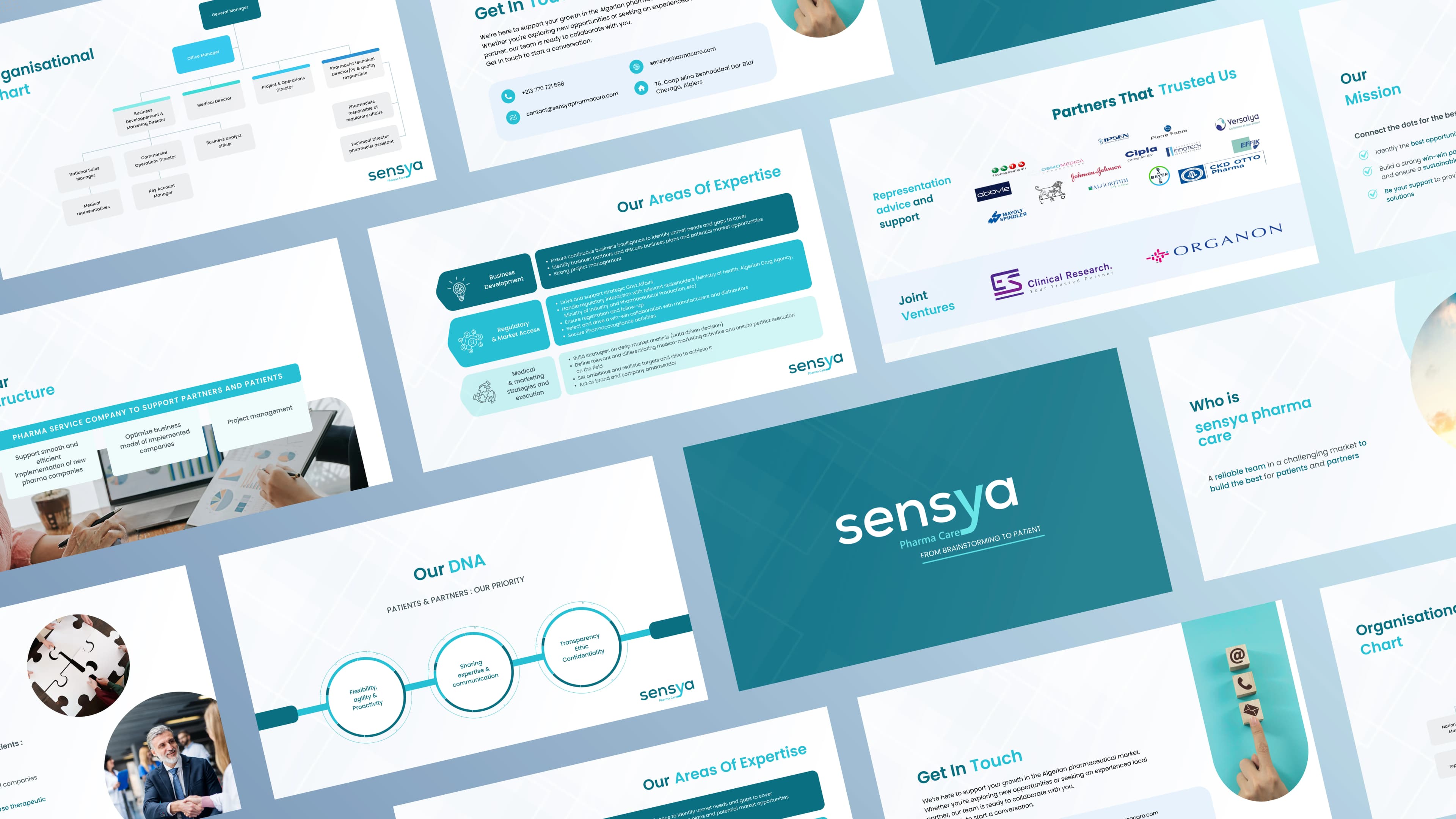 Business tools design and visual refinement for a pharmaceutical company